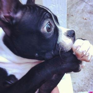 Meet your Posher, Mackenzie